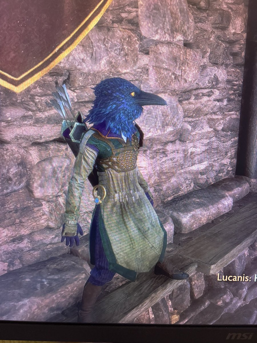 kingwishlett's tweet photo. @spectraIarrow Virgil Ingellvar: My funeral bird rogue 💕 https://t.co/JHZCKmzZQA