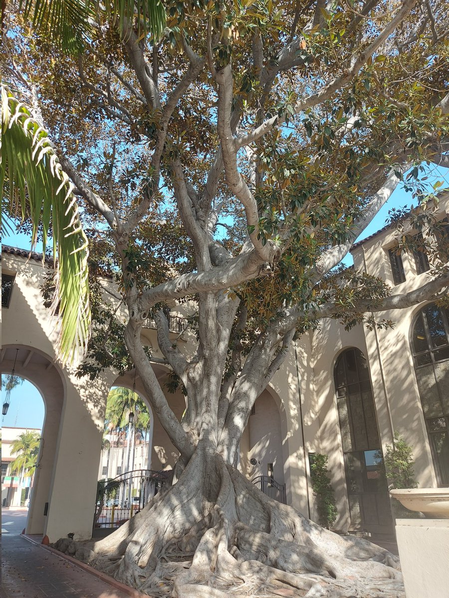 Misagh Moayyed tweet media