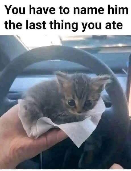 Hazel Appleyard tweet media