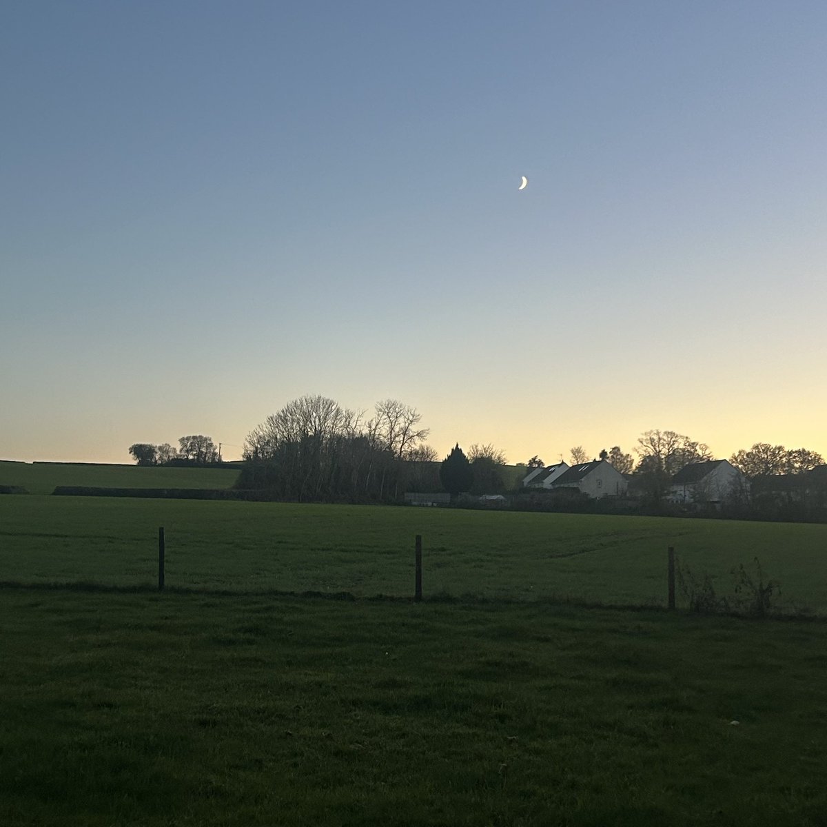 gingerfig's tweet image. #currentview both ways 😊