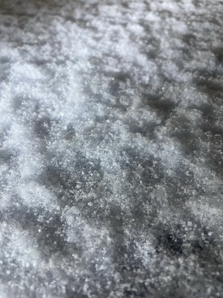 pinecanvasblog's tweet image. This is snow 
Luckily only a little 
So it’s just pretty 
…. And not a unexpected workout