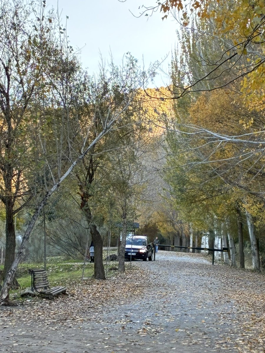 Jerelyn Creado tweet media