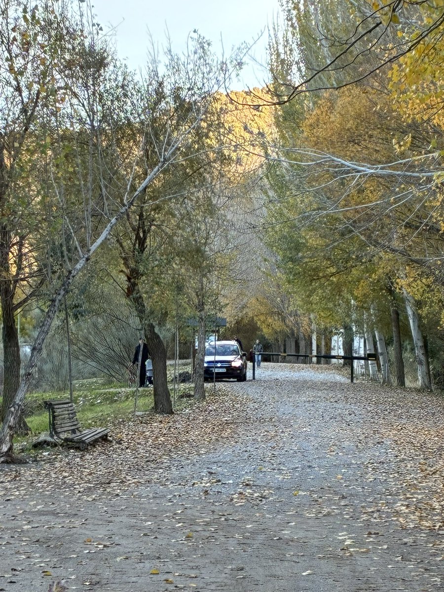 Jerelyn Creado tweet media