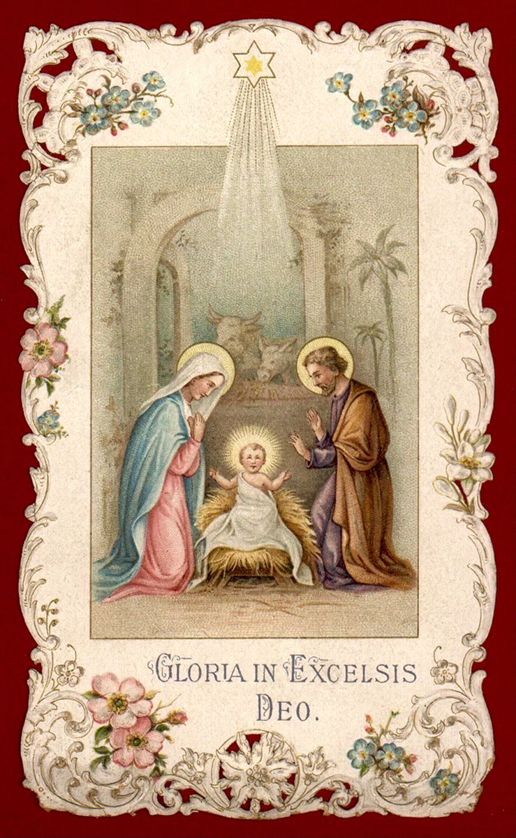 grace🍷🕊️🌸 tweet media