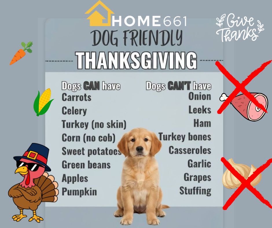 BodyShop661Auto's tweet image. Thanksgiving is all about family… and that includes our furry babies! 🐶🦃🍁
Before you sneak your pup a holiday treat, here’s a quick guide on what’s safe and what’s NOT for dogs this Thanksgiving. Let’s keep those tails wagging and bellies happy!