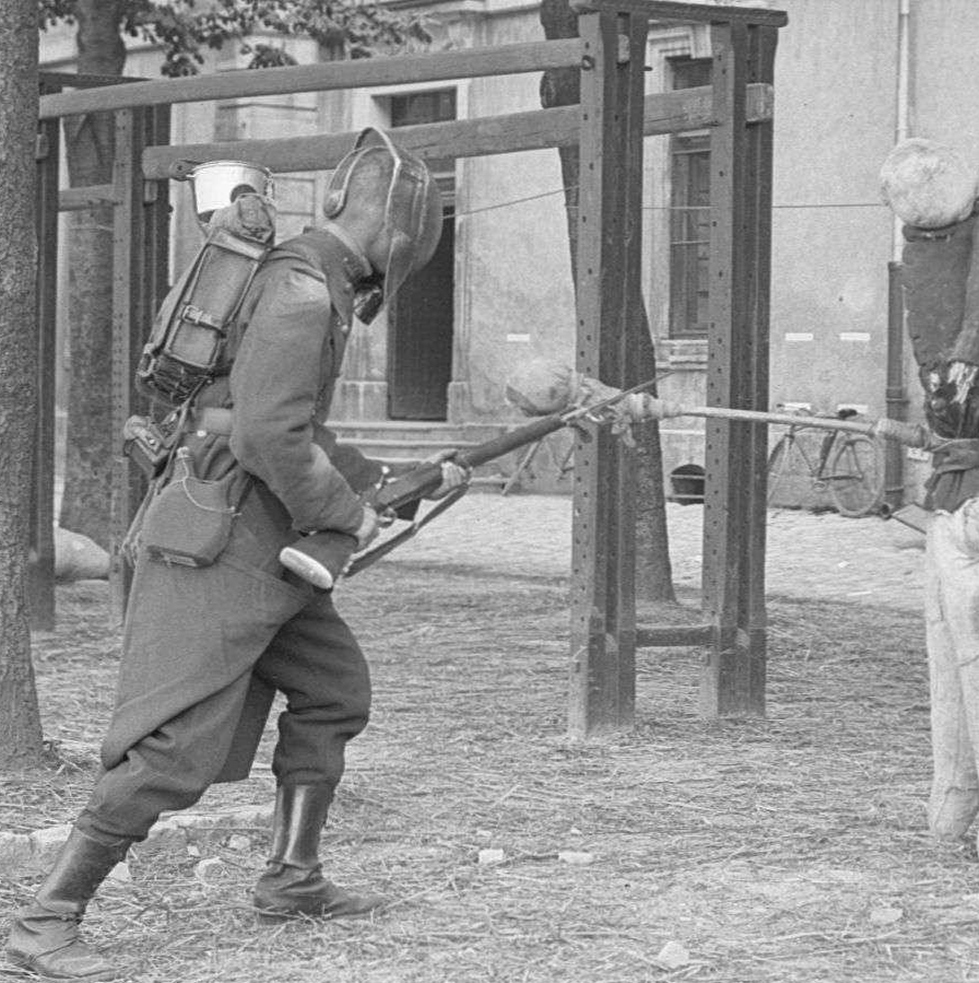 History and colorization tweet media