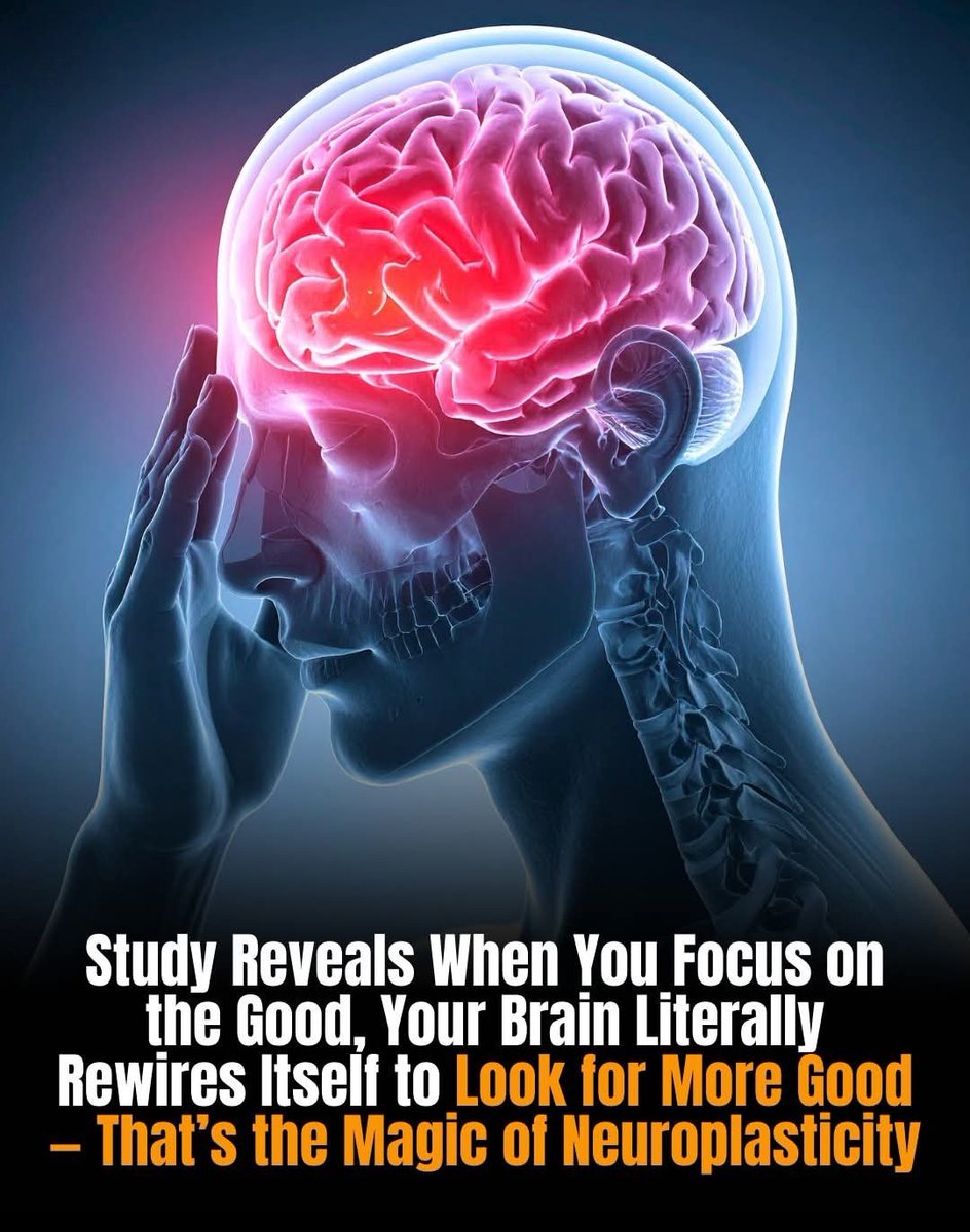 ShiningScience's tweet image. 🧠 Studies show that focusing on the positive literally rewires your brain to seek out more good—here’s how neuroplasticity can change the way you think.