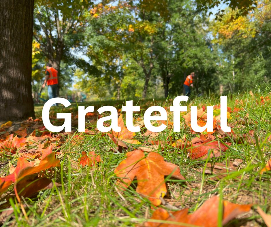 TreeTrust's tweet image. 7,500 trees planted. 🌳 300 young people trained.  Countless lives and landscapes transformed!  We are grateful for the volunteers, partners, and donors who make it possible. Thank you for helping us grow what matters!