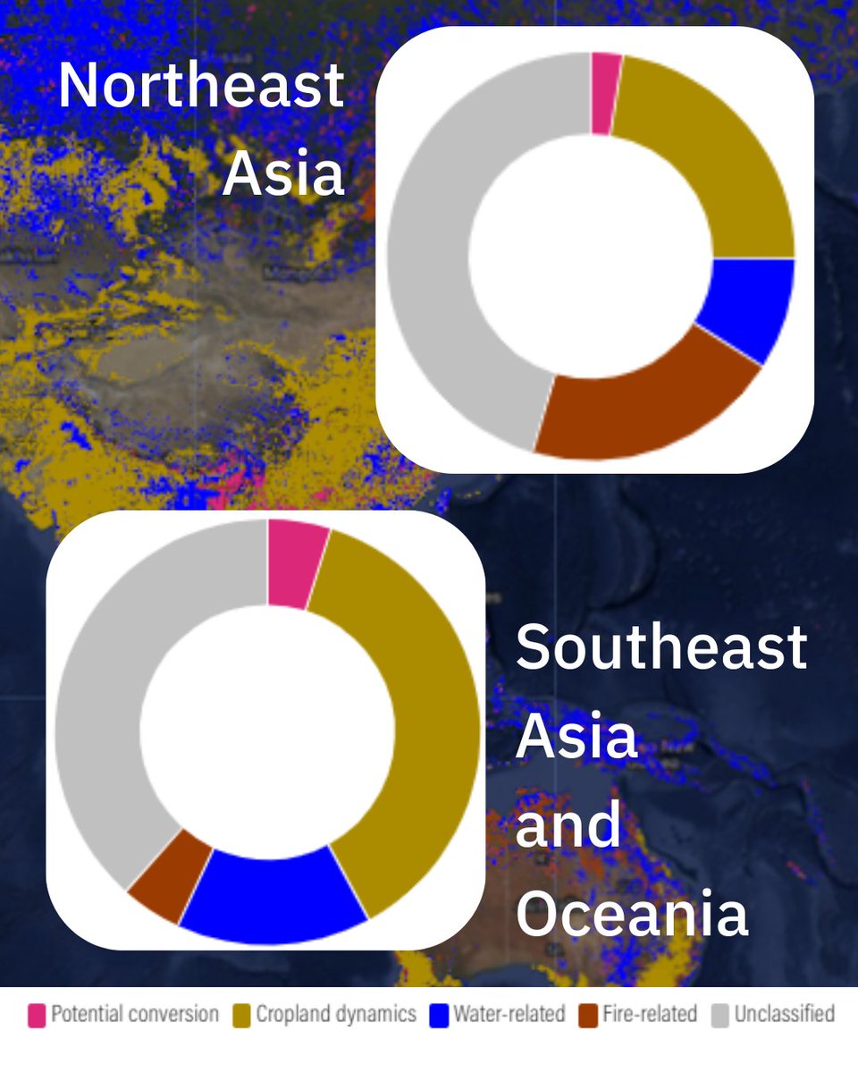 Land & Carbon Lab tweet media
