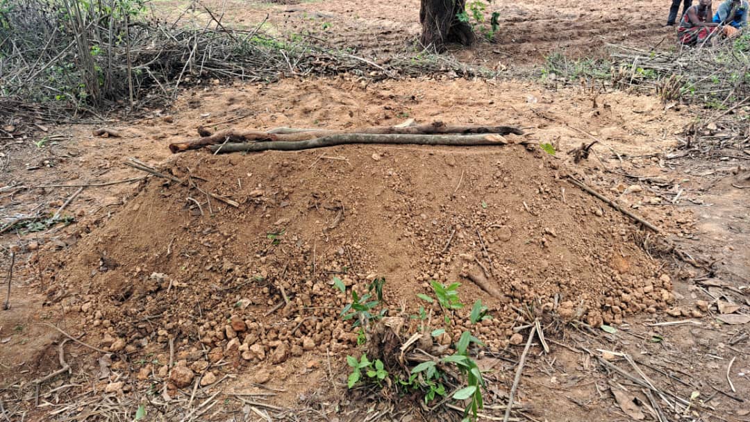 Times360Malawi's tweet photo. #Times360Malawi
Ellen Kanyaza wazaka 21 ochokera mmudzi mwa Chibalala mfumu yaikulu Njolomole m'boma la Ntcheu yemwe anauka dzuro atamwalila wamwalilanso ndipo amuika mmanda mmawa wa lero. https://t.co/yQTI7wCXCT