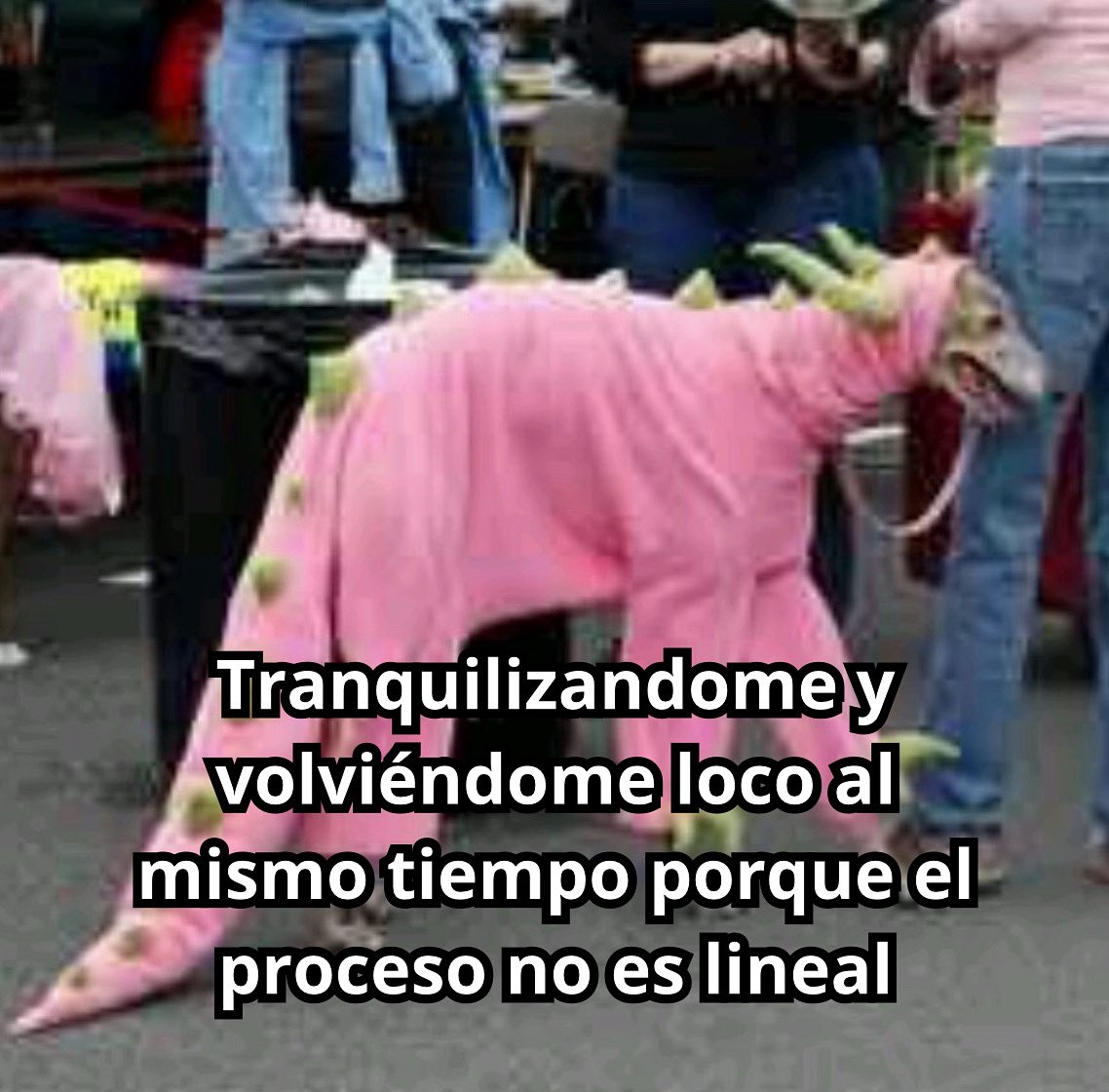 conoloracigarro's tweet image. 