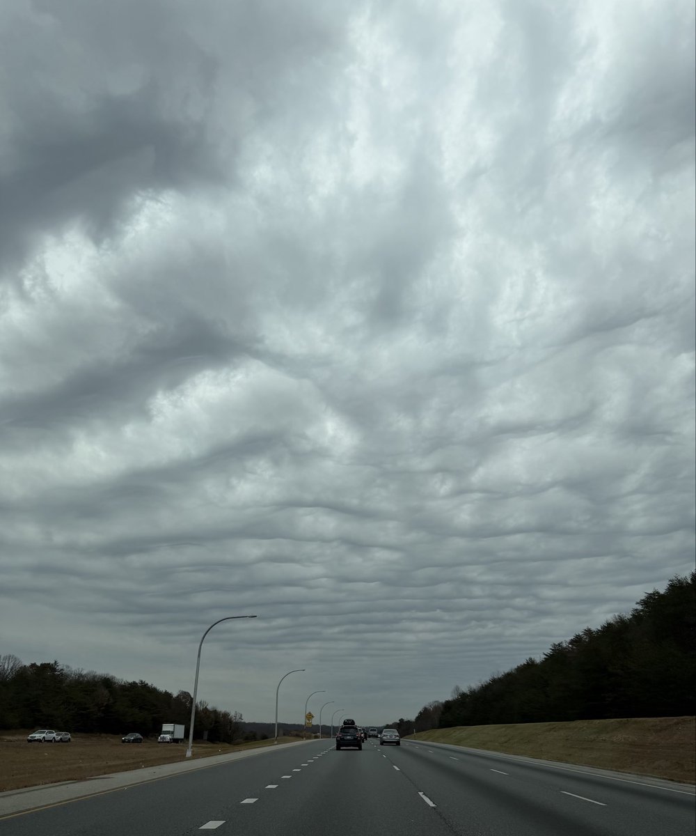 Catherine Gallagher tweet media