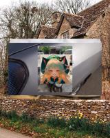 trungtrandonga1's tweet image. 638996967295921727_120638996967295921727_120106387每一滴露珠的闪烁，都是清晨的宝石。💧La lumière du soleil à travers les feuilles, ombres douces 🌞