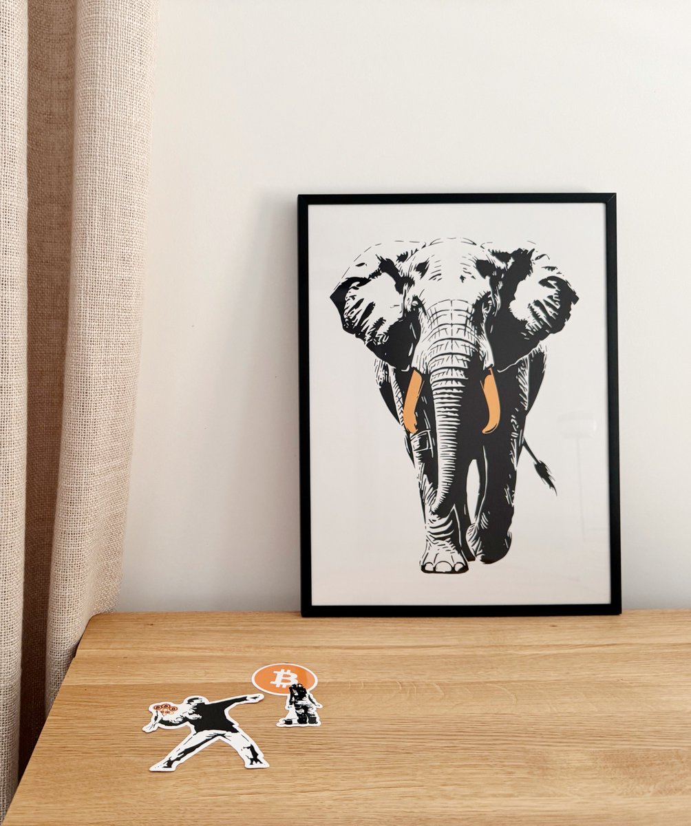 Bitcoin In The Wild tweet media