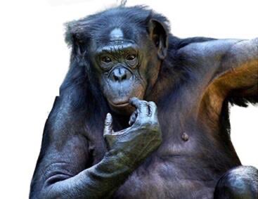 > высокий интеллект 
> перевел 700К на всу