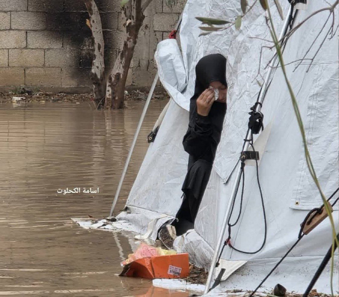 بعض الصور لا تحتاج إلى تعليق.