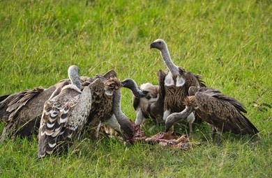 Nunca creí que diría esto, pero he llegado a sentir genuina lástima por Villavicencio. Te matan y la mitad de tu familia te usa como arma política, y la otra mitad te usa como moneda de cambio para ver qué rédito político sacan. A nadie le interesa darte justicia. Pobre tipo.
