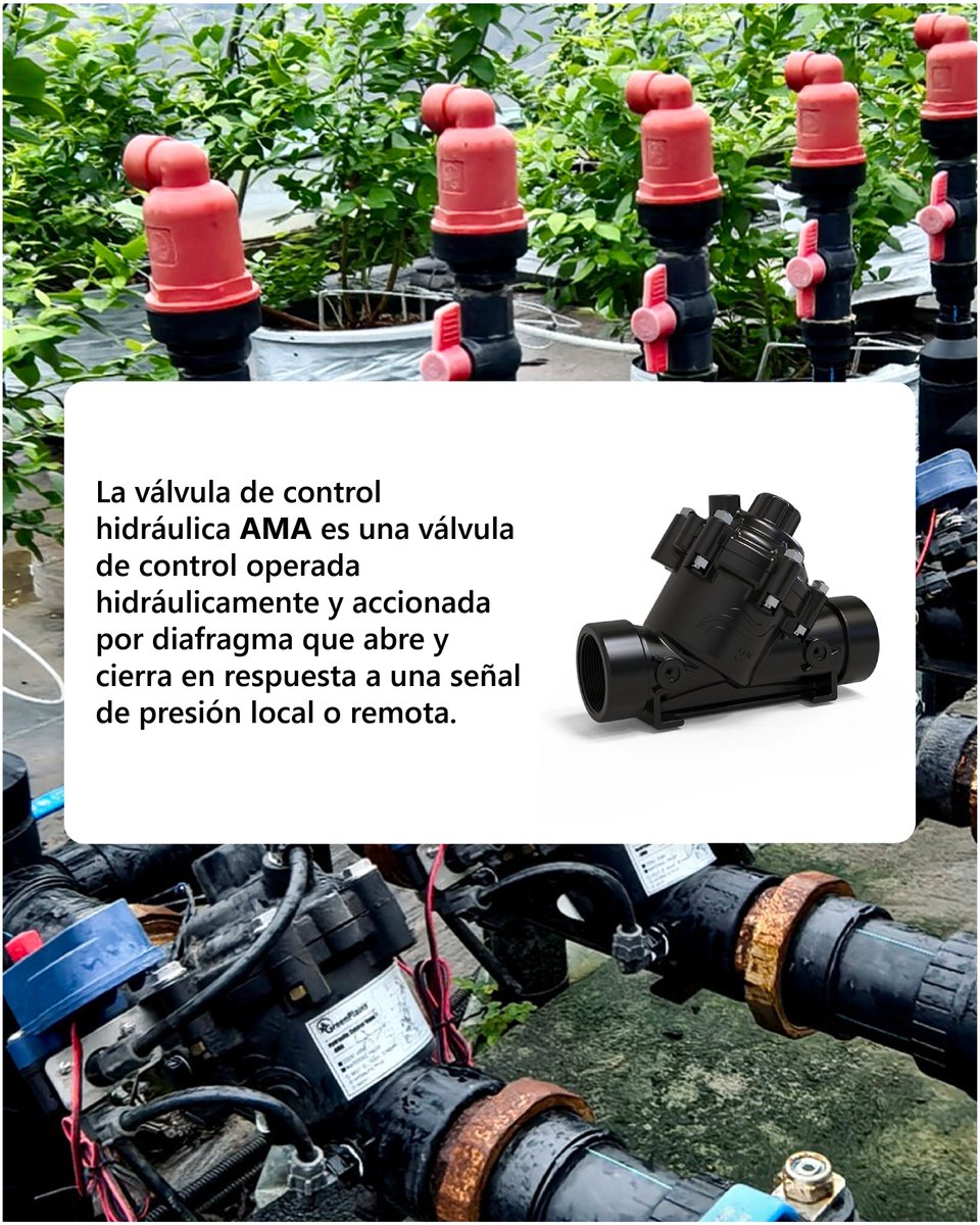 SureRain's tweet image. 💧 Control Total para tu Sistema de Riego
Conocé la línea de válvulas Sure Rain, diseñadas para ofrecer máxima eficiencia, durabilidad y confiabilidad.

⚙️ Válvulas ADI, AMA y AMI: Tecnología GreenPlains para automatizar y optimizar proyectos de gran escala.