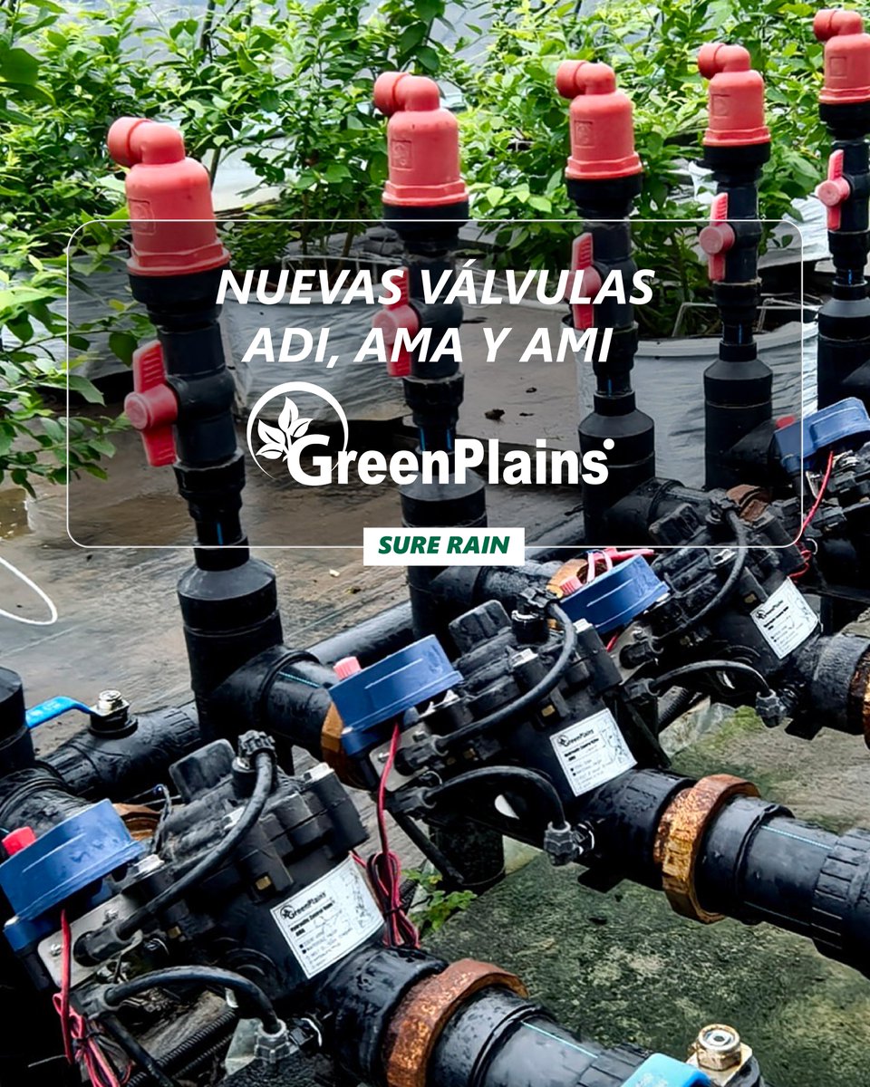 SureRain's tweet image. 💧 Control Total para tu Sistema de Riego
Conocé la línea de válvulas Sure Rain, diseñadas para ofrecer máxima eficiencia, durabilidad y confiabilidad.

⚙️ Válvulas ADI, AMA y AMI: Tecnología GreenPlains para automatizar y optimizar proyectos de gran escala.