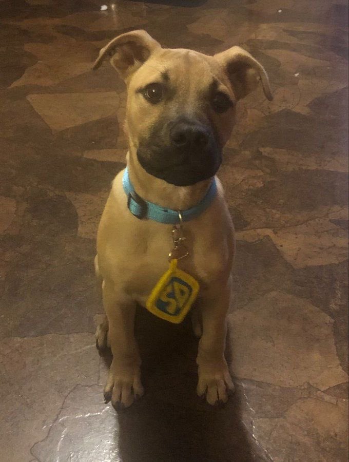 twaniimals's tweet image. 