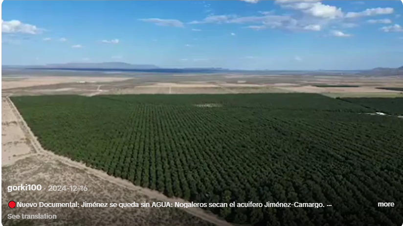 PORQUÉ ESTÁN CONTRA LA LEY DE AGUAS DE LA PRESIDENTA <a href="/Claudiashein/">Claudia Sheinbaum Pardo</a> ??🤔 Porque son huachicoleros del agua que se la roban y están secando el ya de por sí desierto de Chihuahua. Vean hay 11 mil hectáreas de nogal en pleno desierto de donde creen que sacan el agua? Pozos ilegales