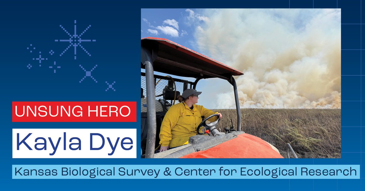 Research at KU tweet media