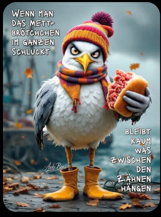 Auf eigene Gefahr empfohlen↙️