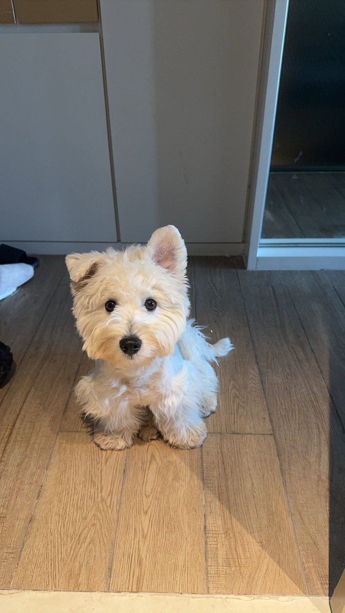 感觉自己会慢慢把这个app当我儿子卖萌的记录册