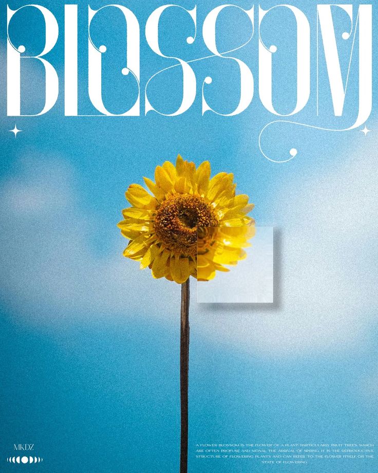 srdesignman's tweet image. It might be simple, but the elegance in this design isn’t for just anyone… it’s insane.