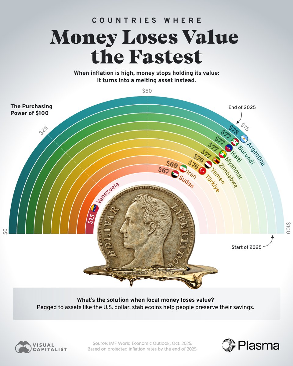 VisualCap's tweet image. When prices rise, money&apos;s value melts away. See how inflation could shrink the value of $100 by the end of 2025 in the hardest-hit countries 📉

This graphic, created in partnership with @Plasma, highlights countries with the highest inflation rates and what $100 could be worth…