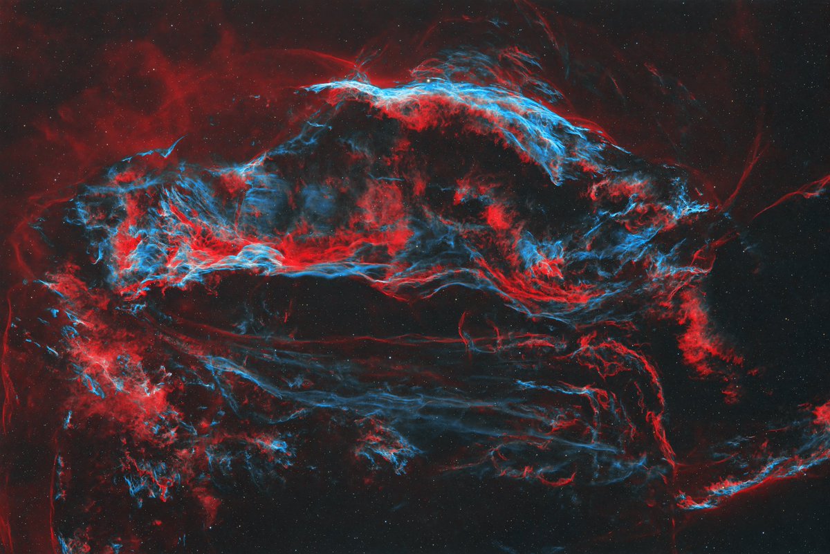 BrianThePrimate Astro tweet media