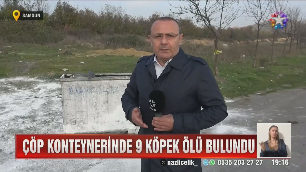 9 köpeğin cansız bedeni bir konteynerde 
#samsun #hayvanhakları #köpek #cinayet

haber55.com.tr/9-kopegin-cans…