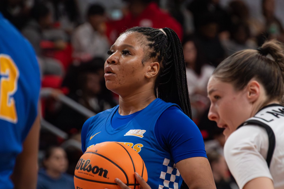New Haven Women's Basketball tweet media