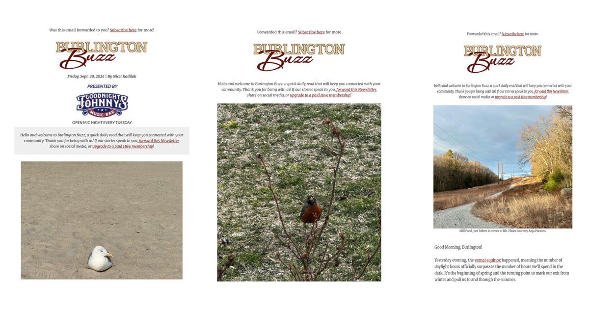 AAN Publishers tweet media