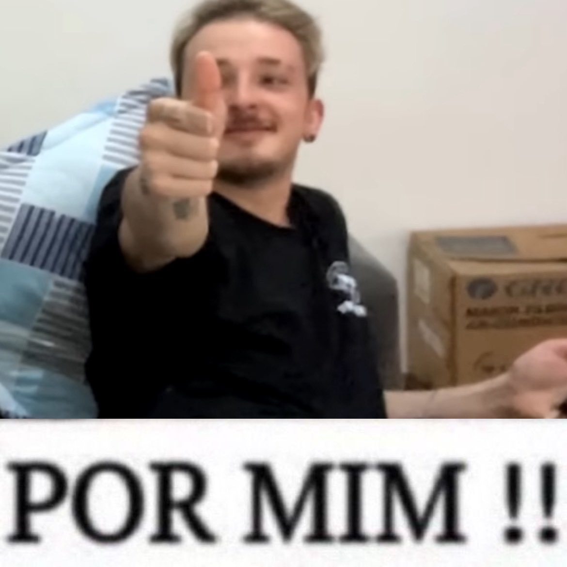 acervo froggtv tweet media