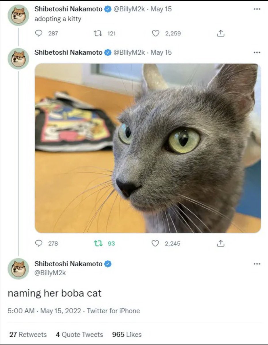 jwickkX's tweet photo. @Gemini @akn_pkl Boba is Good cat $BOBA @BobaCatOfficial https://t.co/hQ4Gzi2LtW