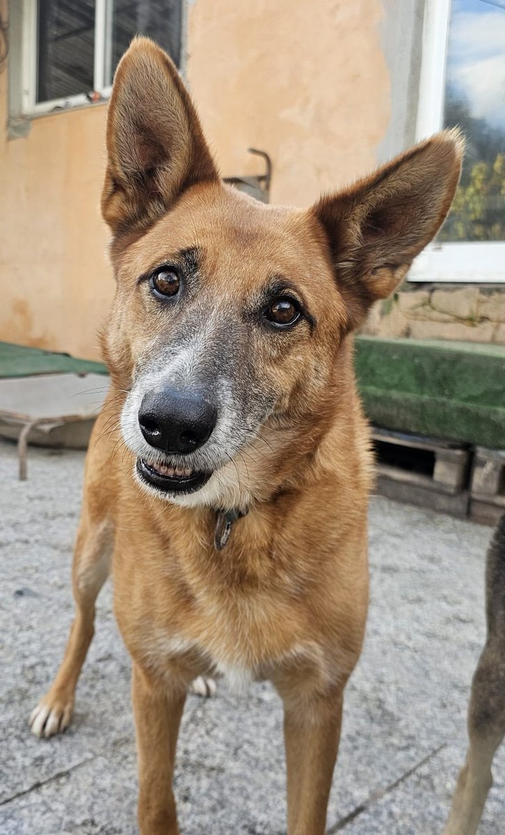 <a href="/planetazarpa/">ᑭᏞᗩᑎᗴᎢᗩ Ꮓᗩᖇᑭᗩ</a> <a href="/BurkManuela/">Manu Burk.</a> <a href="/AbuelaCule/">Abuela Culé</a> <a href="/jacamp98/">🕸Merce Palao Ganga</a> <a href="/EliaHoyuel10976/">Sirenita forever 👻</a> <a href="/martamj32/">MartaEme</a> <a href="/saravh86/">Sara</a> <a href="/Pequeoratn1/">Pequeño_ratón</a> <a href="/BlanWhitney/">Blanca Búho como tú</a> <a href="/Nat_GTES/">Natalia Cordero</a> Buen día planeta zarpa, buen día para todos 🙂Difundiendo a Drako ❤️🙂