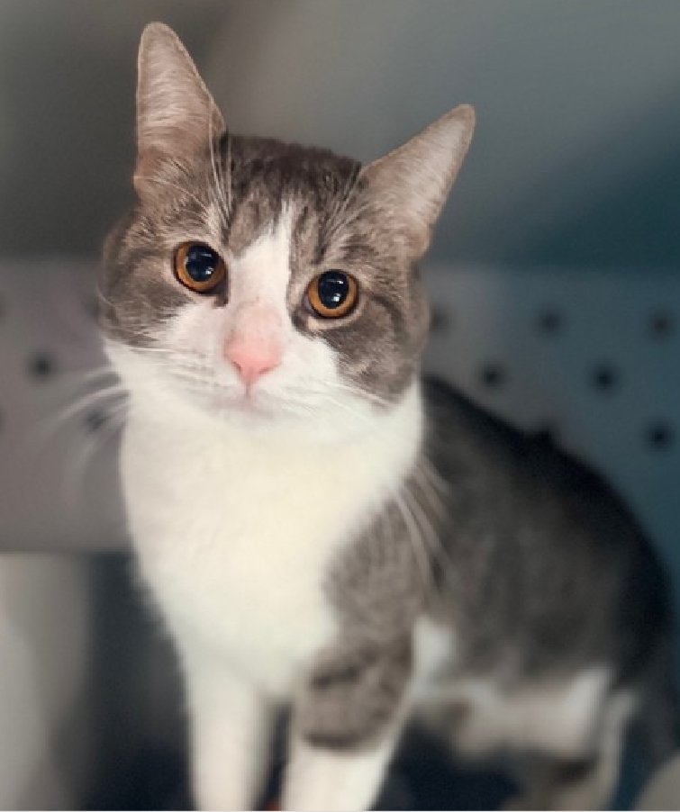 Jack5928 tweet media