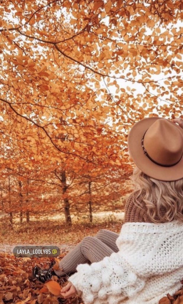 تذبل الأوراق كل خريف 
تسقط ورقة كل يوم 
عادة لا نشعر بتلك الأوراق 
عند الانكسار فقط 
نبحث عن الأوراق المتساقطة 
فهي تشبه دموعنا الحارقة
تشبه أحلامنا الموؤدة
السؤال المهم 
هل هي من يذكرنا بأوجاعنا ؟!
أو أن الوجع هو من أرغمنا 
على التمدد على الرصيف بالقرب منها ؟! 
#لذة_أمل