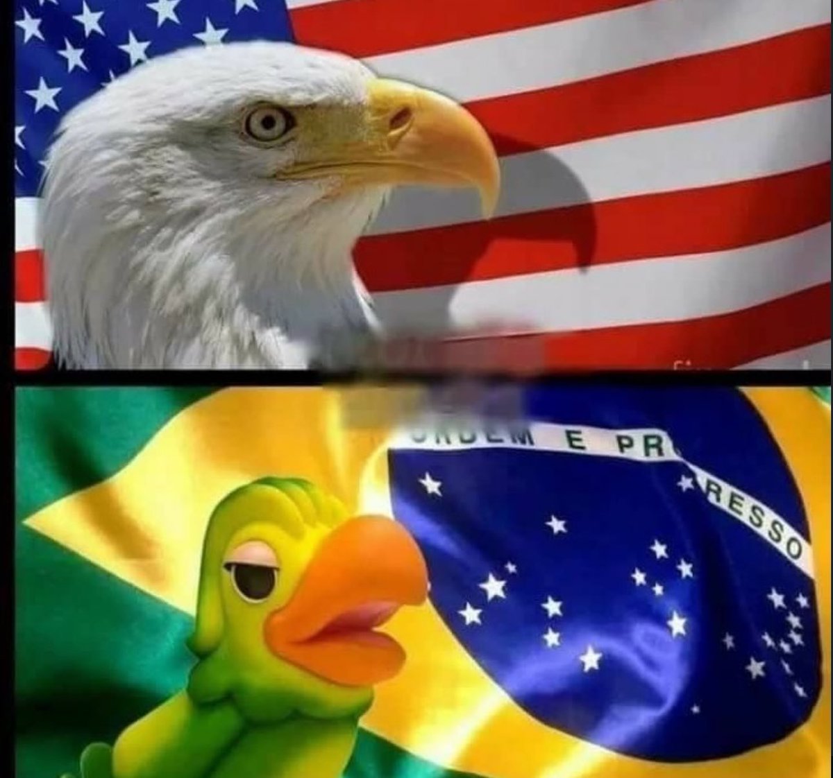 shitpostverdade's tweet image. 