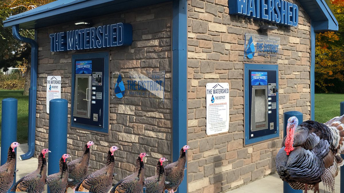 ⭐⭐⭐⭐⭐Our filtered water is chef’s kiss. Serve your flock the best hydration in town this Thanksgiving. Just .25 cents a gallon. Smart birds choose The WaterShed. Locations: bit.ly/39sdMJw