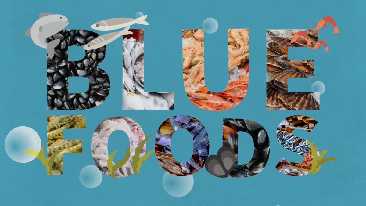 Stanford Center for Ocean Solutions tweet media