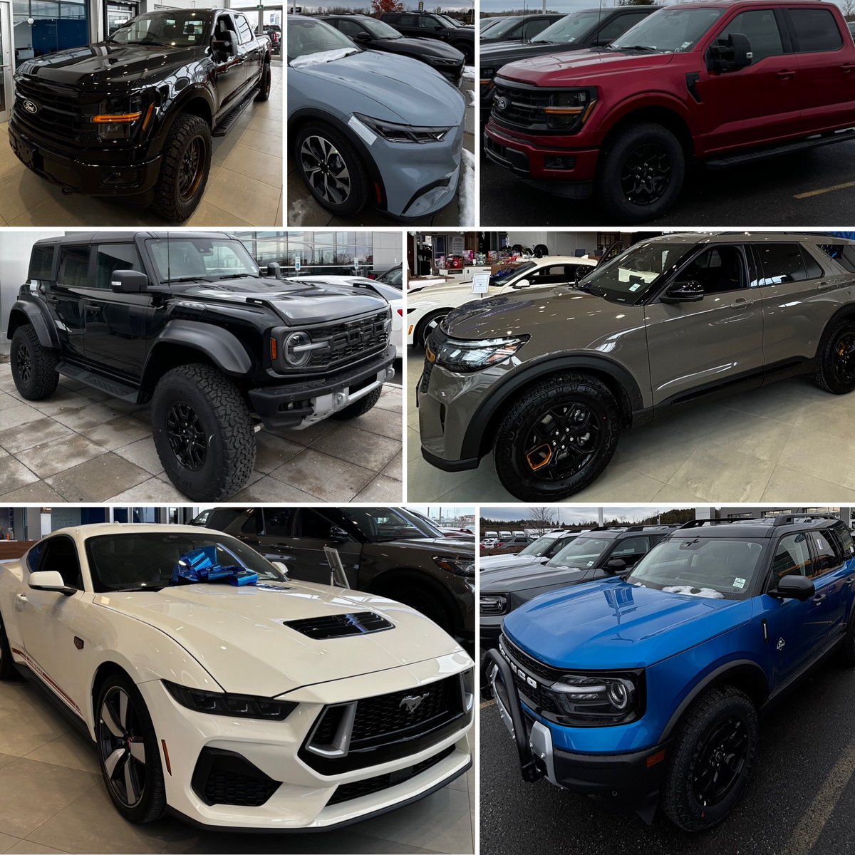 Stuntman Stu tweet media