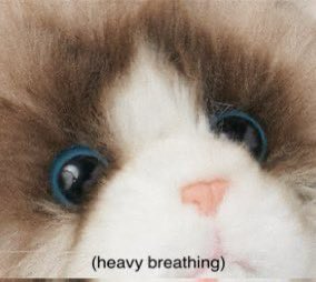 AmericanKaw13's tweet image. Bring. It. Back. Taylor. Nation.