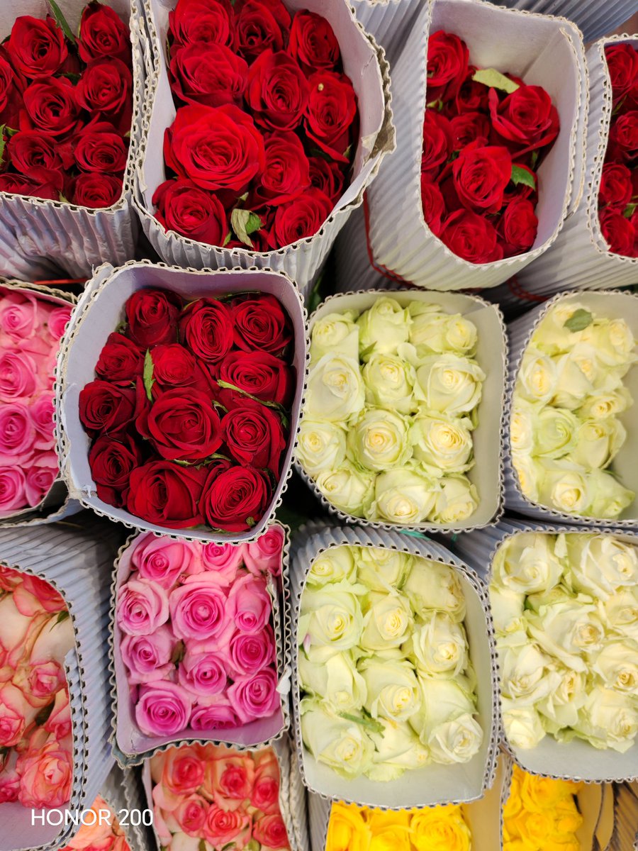 Siddhartha Malakar tweet media