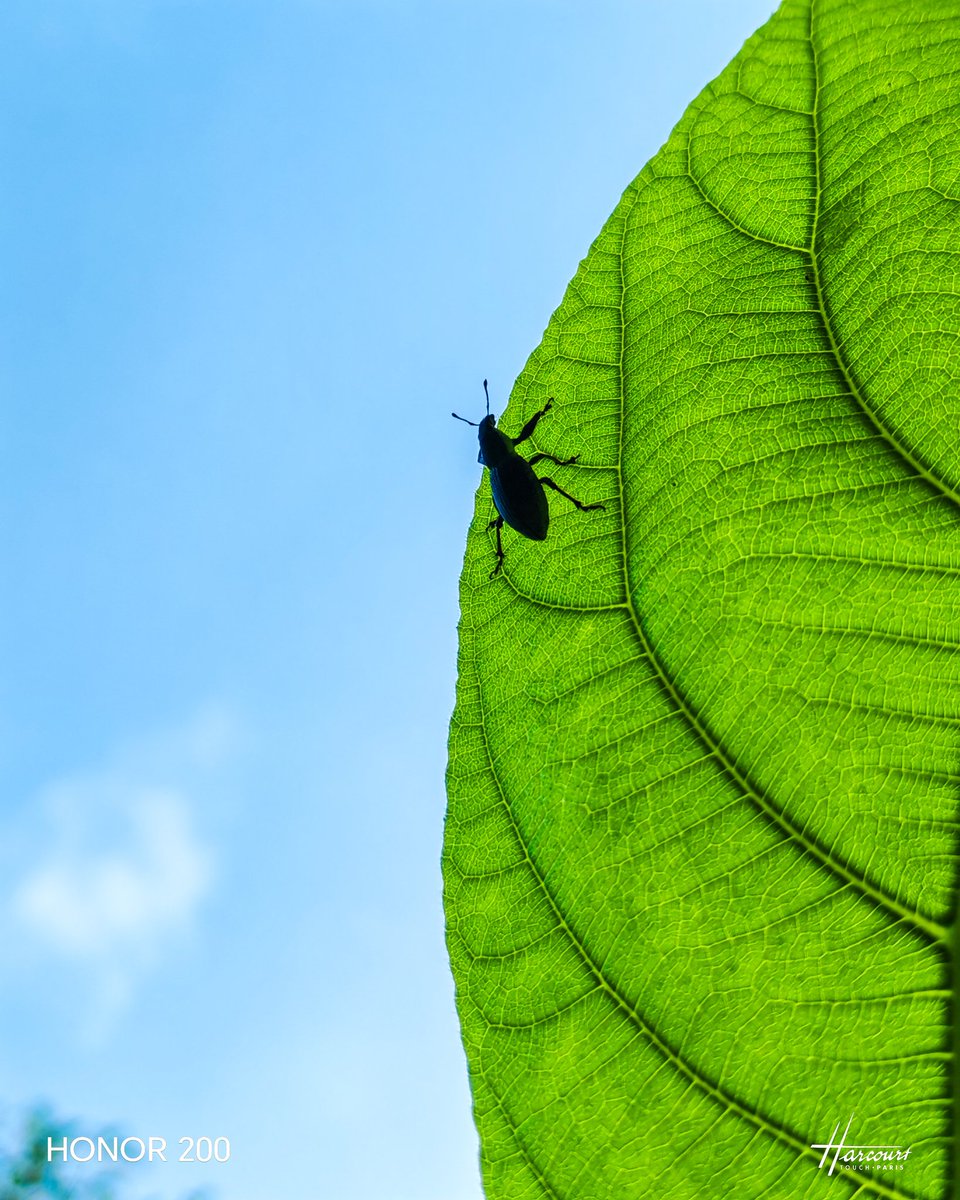 Siddhartha Malakar tweet media