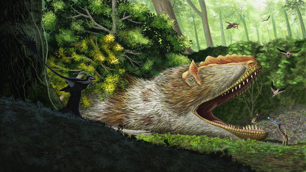 MicroraptorE's tweet image. New art is arrived !

A large Yutyrannus is being cleaned up by a group of Hongshanornis. A curious Gegepterus approaches.
In the foreground, a Zhongjianosaurus seems interested in the small birds.
#paleoart #SciArt #dinosaur #digitalart #yixian #china #feathered