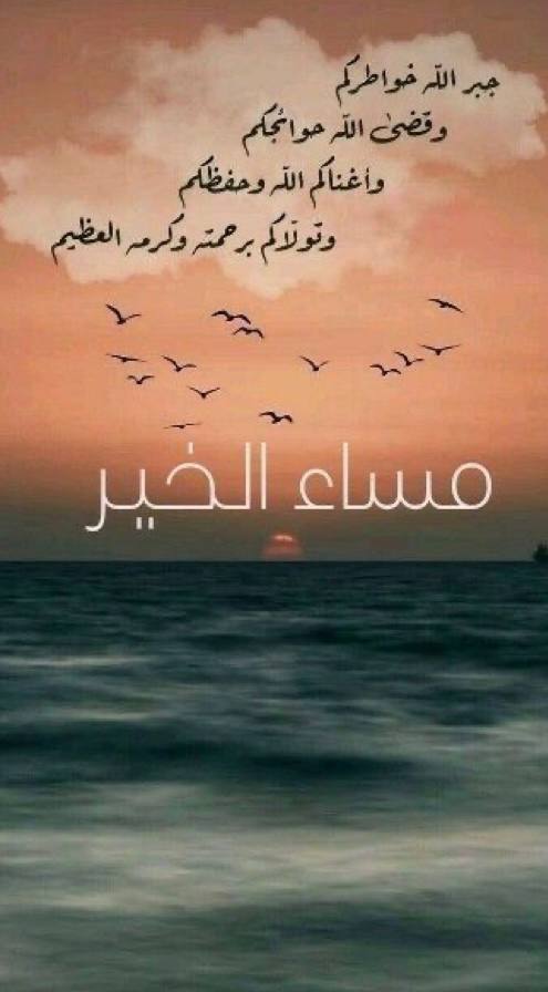 #رحاب_الدعوة #الصمت_حكمه
يالله مساء تزهر فيه انفسنا بعفوك ومغفرتك.

‌ مساء الخير