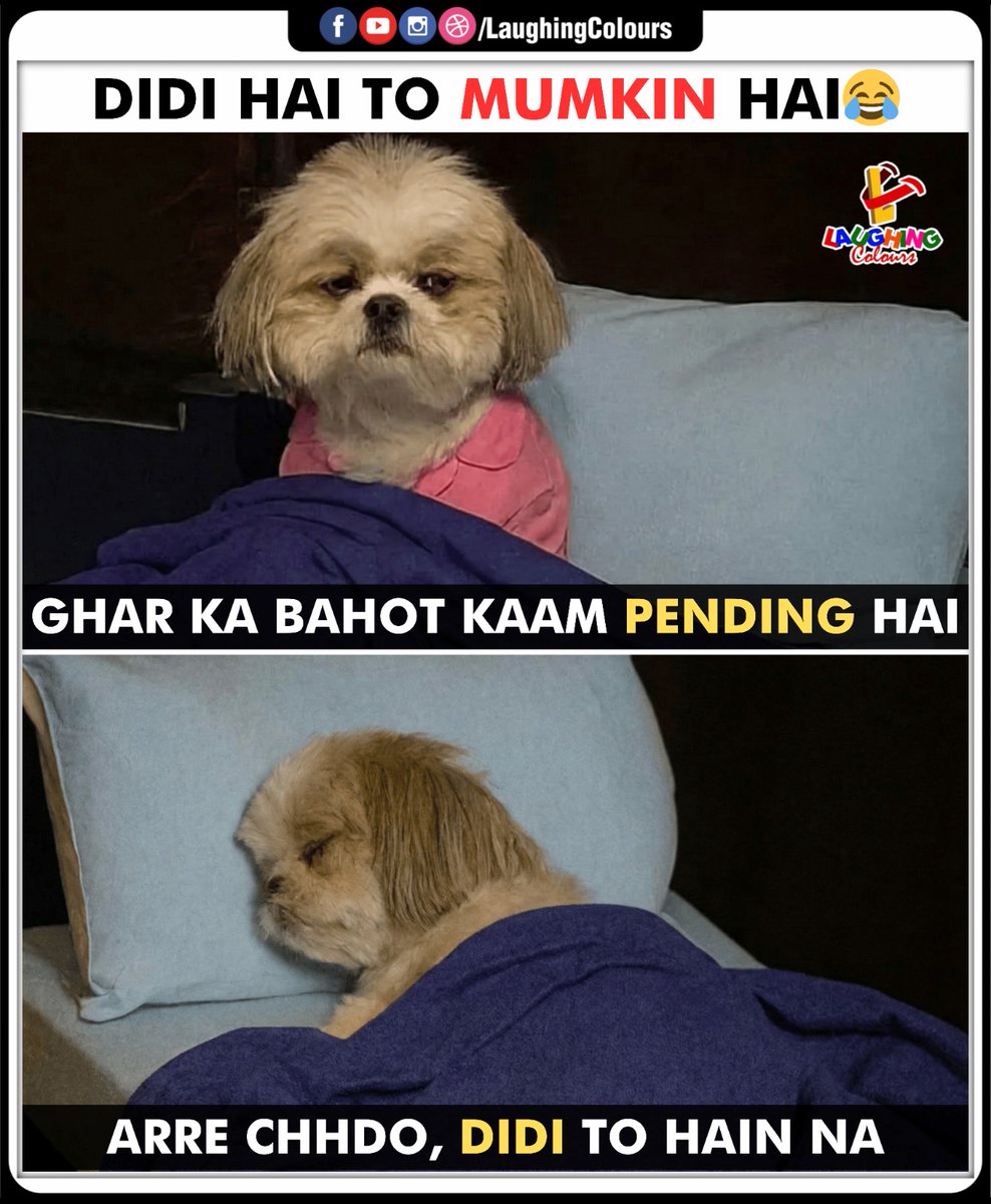 LaughingColours's tweet image. Lazy dog meme vibes 😂

#FunnyMeme #RelatableHumor #DogMeme #DailyLaughs #HomeChores #LaughingColours