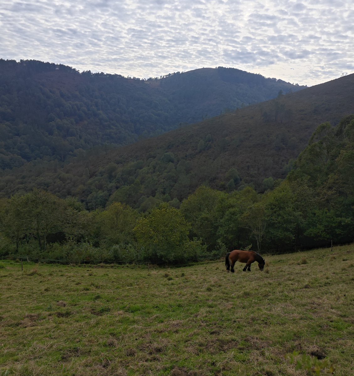 RosarioMerayo's tweet image. Estoy en otro día y,
siento gratitud
siempre diré que fue
un sueño escribir,
lo que sale del corazón
y piensa la mente,
caminos largos 
caminos a veces 
sinuosos,
pero la alegría 
de encontrarme, 
con la sonrisa de alguien,
hablar con quién
no te conoce y surge
la simpatía. #ros